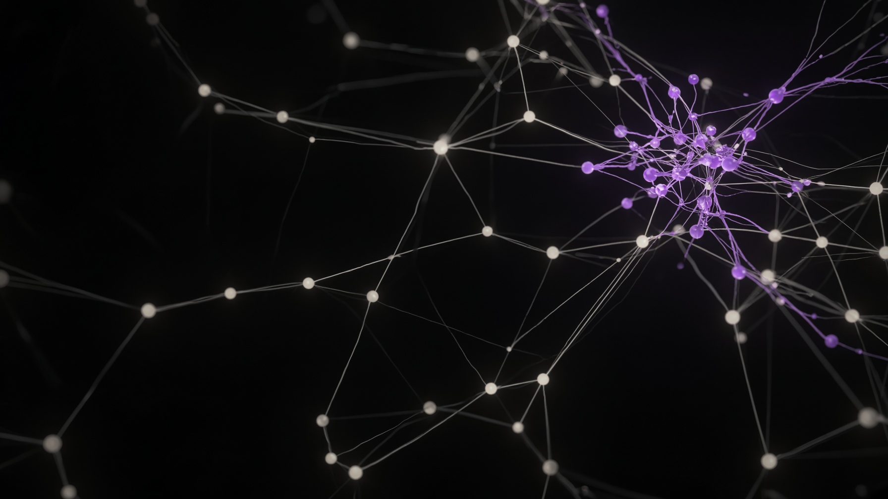 Network Defense